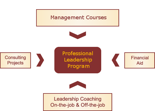 Professional Leadership Program